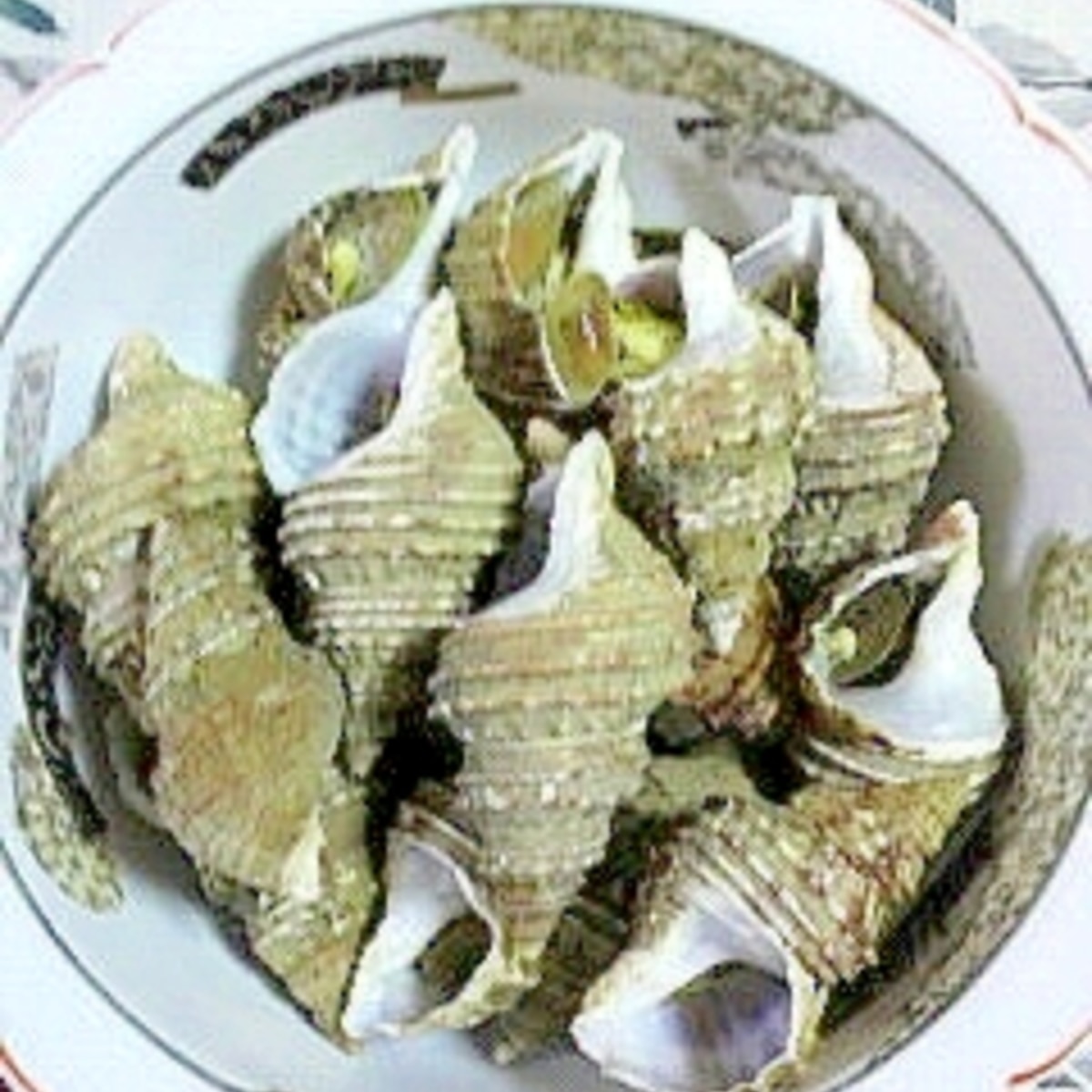 灯台つぶの煮付け レシピ 作り方 By 2727椿 楽天レシピ 灯台つぶの煮付け レシピ 作り方 By 2727椿 楽天レシピ